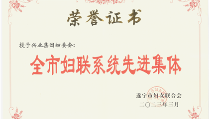 喜報！興業(yè)集團婦委會榮獲“全市婦聯(lián)系統(tǒng)先進集體”榮譽稱號