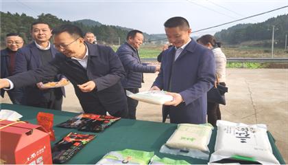 市委常委、政法委書(shū)記劉波濤帶隊(duì)調(diào)研指導(dǎo)定點(diǎn)幫扶村鄉(xiāng)村振興工作